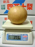 1k730g